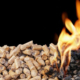 biomass pellet