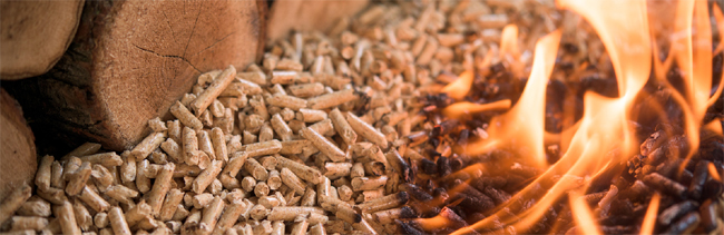 wood pellet